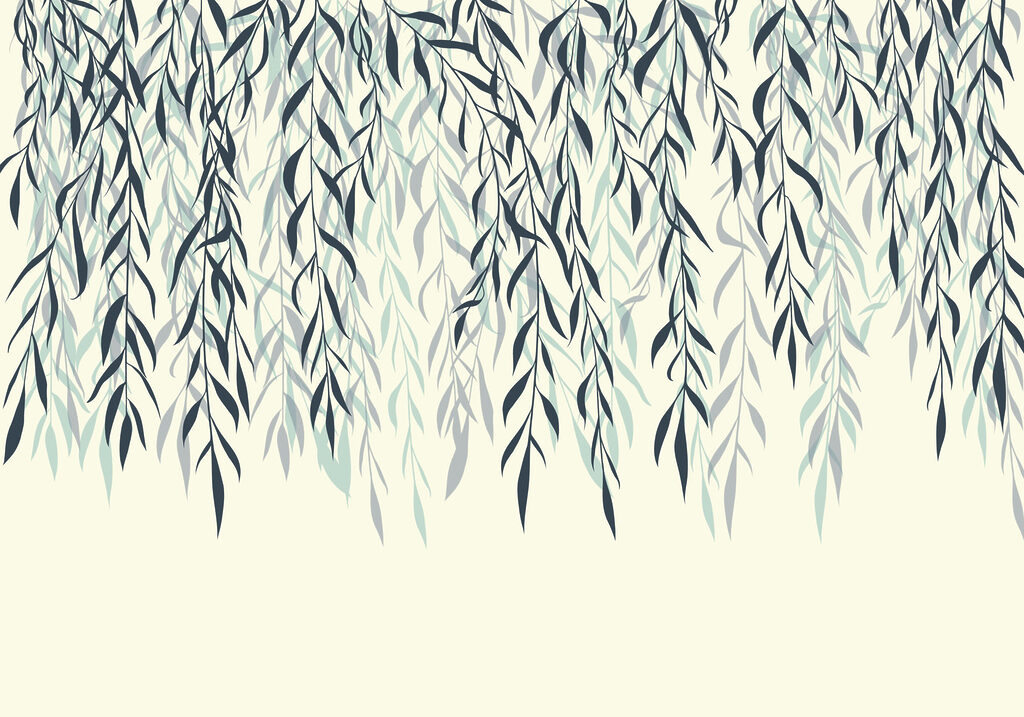 Gentle leaves cascading downwards