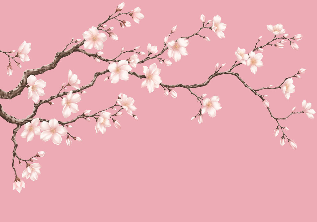 Papier peint Branche à fleurs blanches (UGS : t01044)