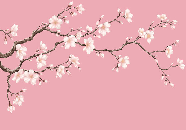 Papier peint Branche à fleurs blanches (UGS : t01044)