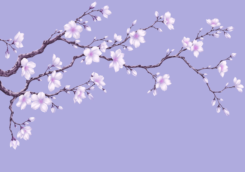 Papier peint Branche à fleurs blanches (UGS : t01044v2) Papier peint Branche à fleurs blanches (UGS : t01044v2)