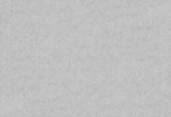 Papier peint Surface blanche parsemée de petits points (UGS : t01081) Papier peint Surface blanche parsemée de petits points (UGS : t01081)