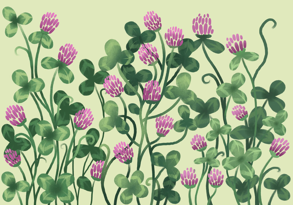Papier peint - Des fleurs aux couleurs éclatantes au milieu d'une végétation luxuriante (UGS : t01121) Papier peint - Des fleurs aux couleurs éclatantes au milieu d'une végétation luxuriante (UGS : t01121)