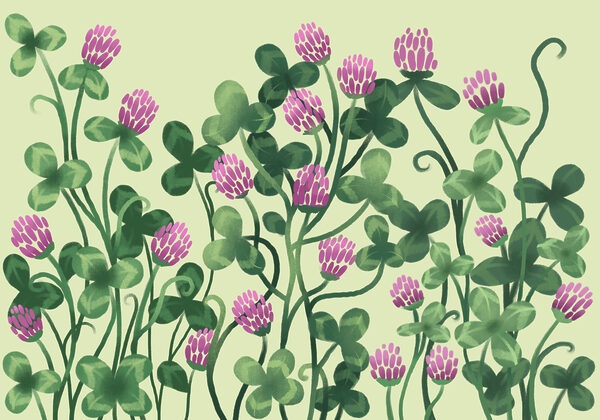 Papier peint - Des fleurs aux couleurs éclatantes au milieu d'une végétation luxuriante (UGS : t01121) Papier peint - Des fleurs aux couleurs éclatantes au milieu d'une végétation luxuriante (UGS : t01121)